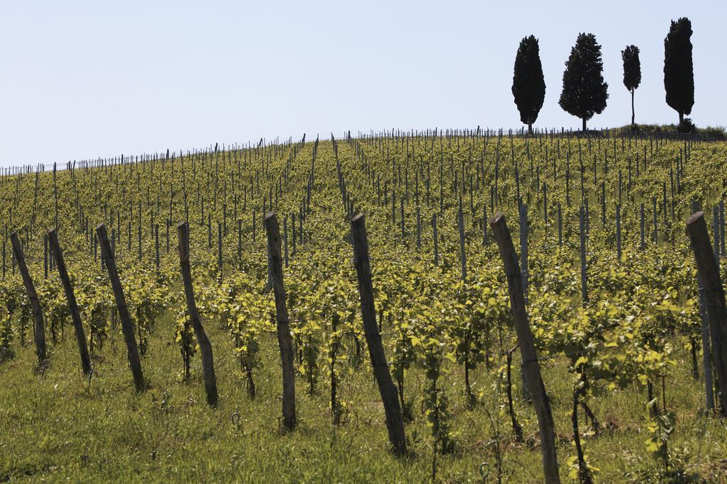 Le Buche Wine Resort&Spa Macciano Exterior foto